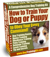 How to Train Your Dog or Puppy